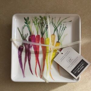 Set Of 6 Colorful Carrot Design Square Plate